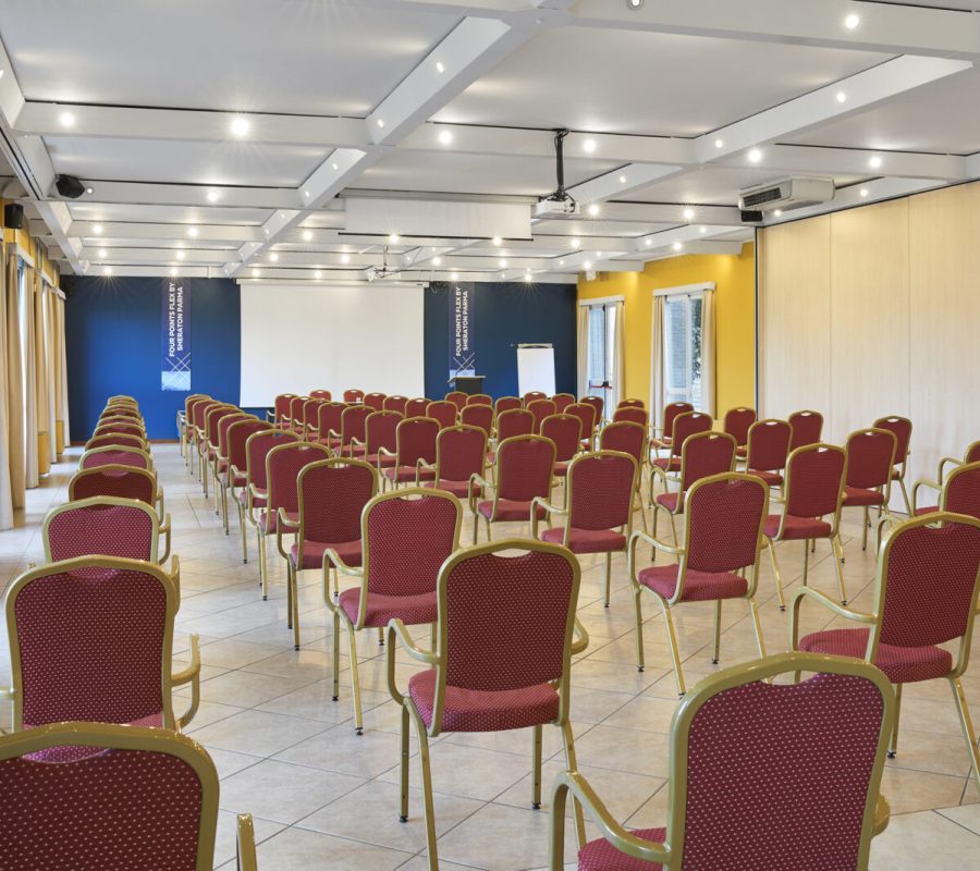 Meeting Room - Plenaria